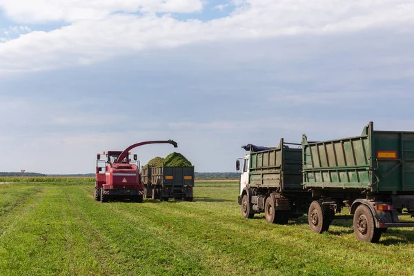 Yeşil Bir Tarlayı Hasat Etmek Silage Için Buğdayı Çift Karavan — Stok fotoğraf