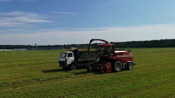 Combineer Polesse oogsten een groen veld Rechtenvrije Stockvideo