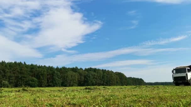 Combineer Polesse oogsten een groen veld Stockvideo