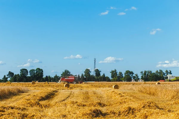 Combineren Harvester Tarwe Oogsten Zonnige Zomerdag — Stockfoto