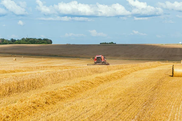 Combineren Harvester Tarwe Oogsten Zonnige Zomerdag — Stockfoto
