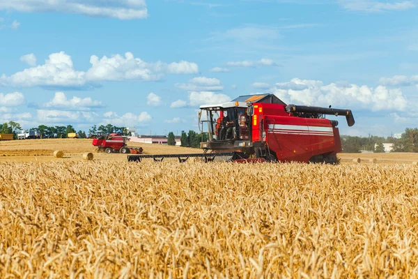 Combine Cosechadora Cosechando Trigo Soleado Día Verano —  Fotos de Stock