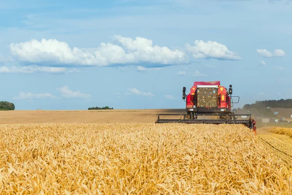 Combineren Harvester Tarwe Oogsten Zonnige Zomerdag — Stockfoto