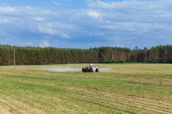 Tractor Sprays Liquid Chemical Fertilizers Corn Field — Stock Photo, Image