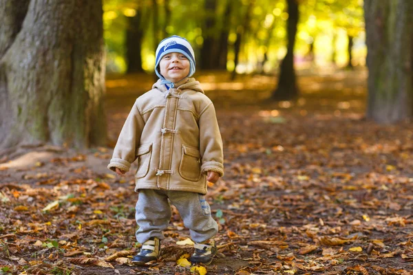 Lindo menino feliz — Fotografia de Stock