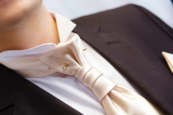 Boutonniere and bowtie close up. — Stock Photo, Image