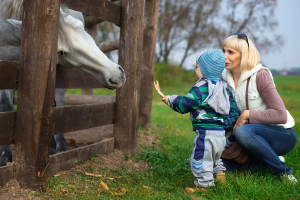Matka s dva leté dítě krmení koně — Stock fotografie