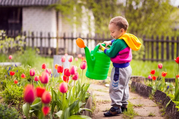 Bonito menino molhando flores — Fotografia de Stock