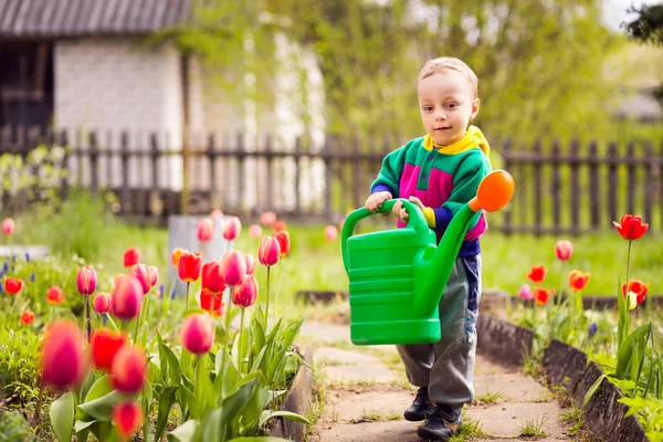 Söt liten pojke vattning blommor — Stockfoto
