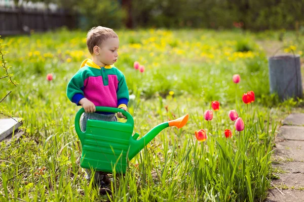 Schattige kleine jongen drenken bloemen — Stockfoto