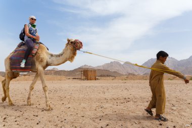 Arap çocuk turistler bir deve üzerinde rulo..