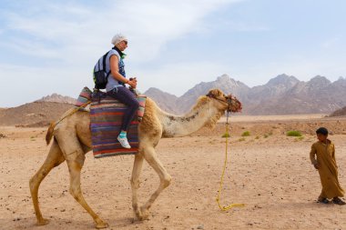 Arap çocuk turistler bir deve üzerinde rulo..
