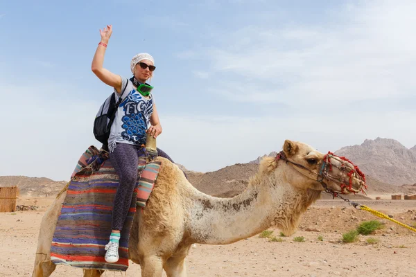 Genç Kafkas kadın turist deveye binme — Stok fotoğraf