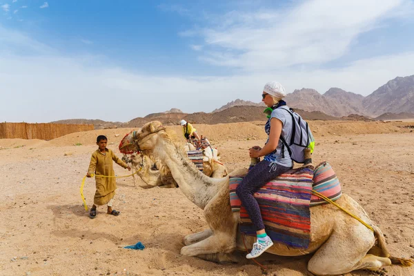 Arab boy rolls tourists on a camel. — Stock Photo, Image