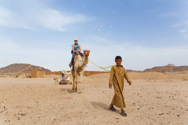 Arabských boy rohlíky turisty na velbloudu. — Stock fotografie