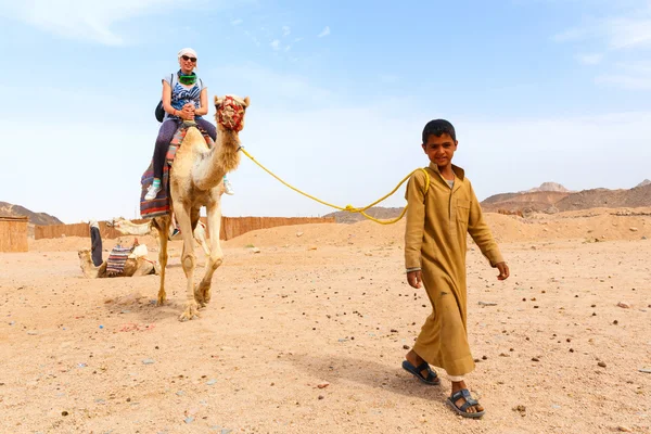 Арабский мальчик катает туристов на верблюде . — стоковое фото
