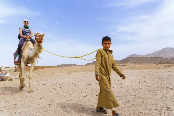 Arabských boy rohlíky turisty na velbloudu. — Stock fotografie