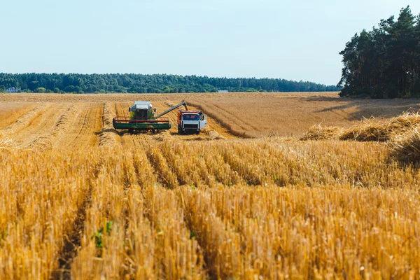 Kombajn zbożowy — Zdjęcie stockowe