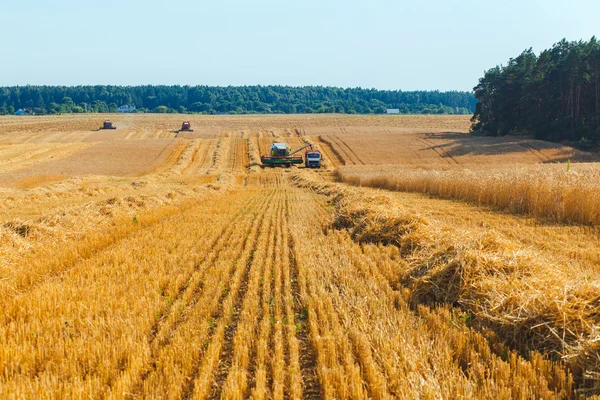 Kombajn zbożowy — Zdjęcie stockowe