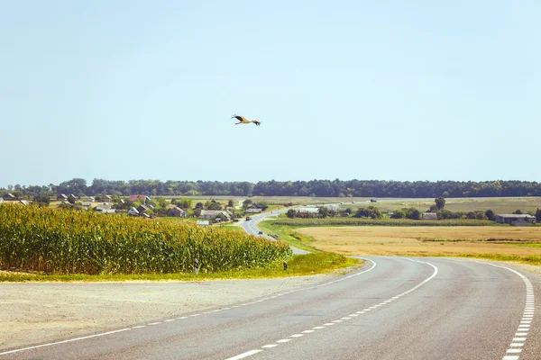 田舎のアスファルトの道路を表示します。 — ストック写真