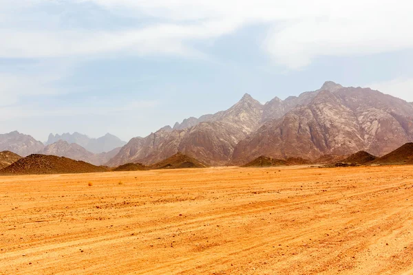 Desierto caliente sin vida —  Fotos de Stock
