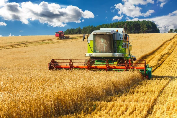 Combine harvester Stock Picture