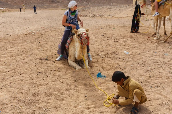 Arap çocuk turistler bir deve üzerinde rulo.. — Stok fotoğraf