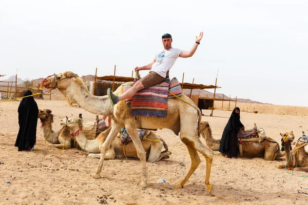 Arabe garçon roule touristes sur un chameau . — Photo