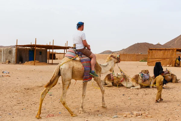 Arab boy rolls tourists on a camel. — Stock Photo, Image