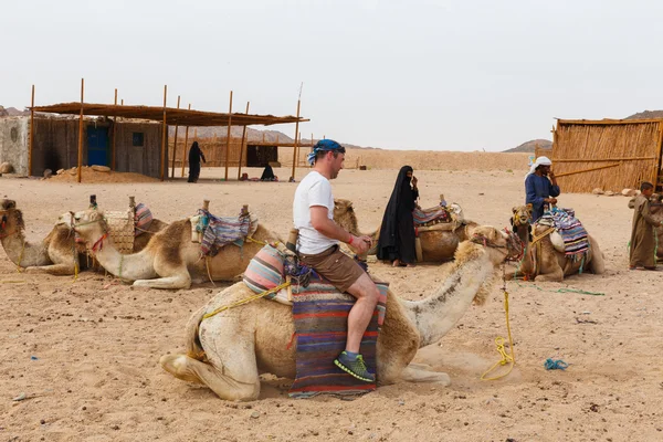 Arab boy rolls tourists on a camel. — Stock Photo, Image