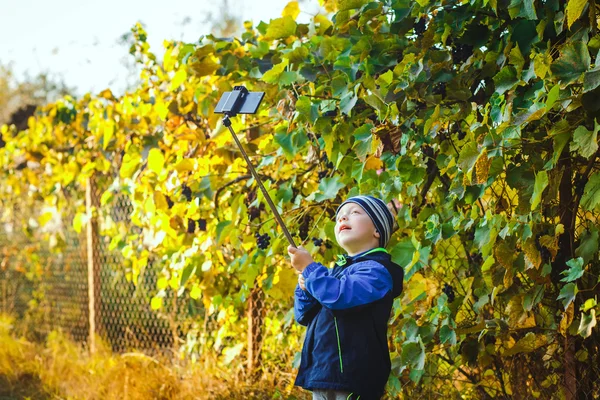 Smart happy little boy taking selfie — Stock Photo, Image
