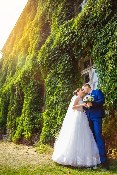 Nevěsta a ženich — Stock fotografie