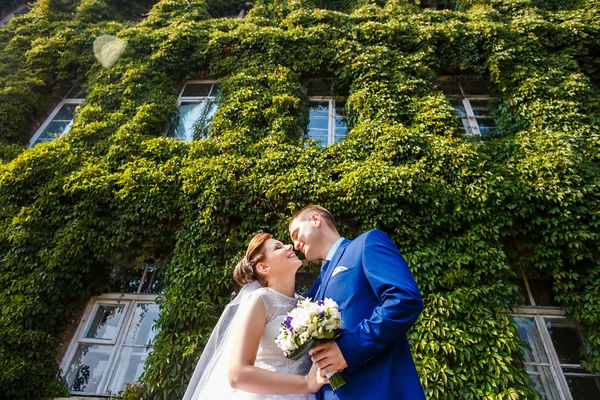 Novia y novio — Foto de Stock