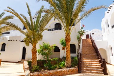 Ağaçlar ile taş alanı