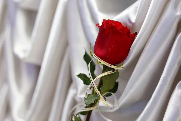 Rosa roja sobre seda blanca —  Fotos de Stock