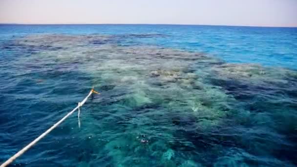 Vista del arrecife de coral — Vídeos de Stock