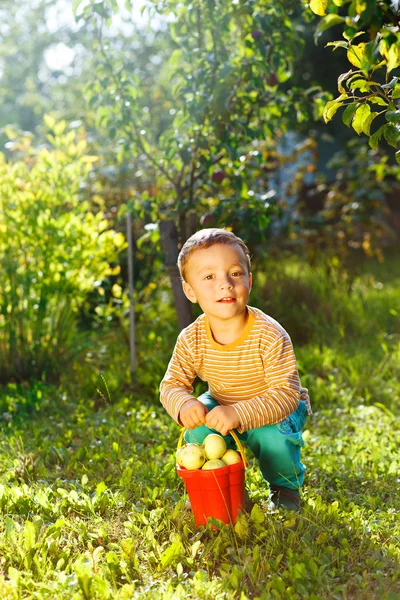 庭で助けるかわいい男の子 — ストック写真