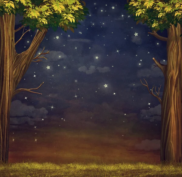 Illustrazione di una foresta con stelle di notte cielo — Foto Stock