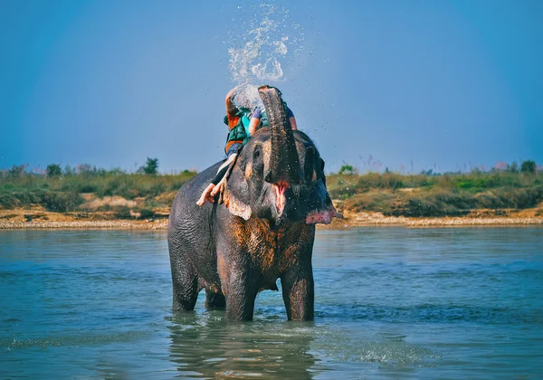 Elefante spruzzare acqua alle persone durante la guida — Foto Stock