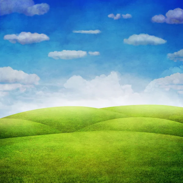 Panorama of green field with  cloudy sky background — Stock Photo, Image