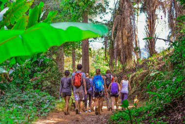 Turistler Khao Yai Milli Parkı Tayland, Asya derin orman hiking