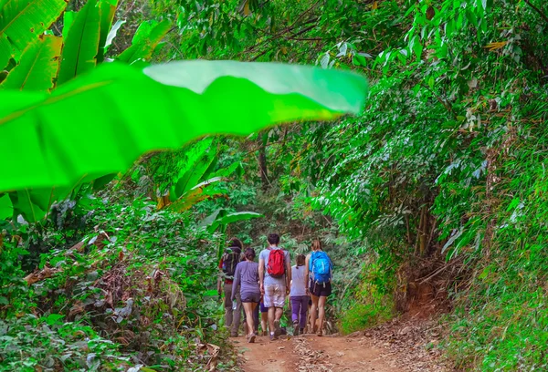 Turistas caminando en la selva profunda del parque nacional Khao Yai en Tailandia, Asia — Foto de Stock