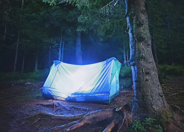 Barraca azul iluminada na floresta noturna, Cárpatos, Ucrânia — Fotografia de Stock