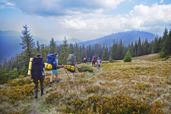 Young people are hiking in Carpathian mountains in summertime — Stock Photo, Image