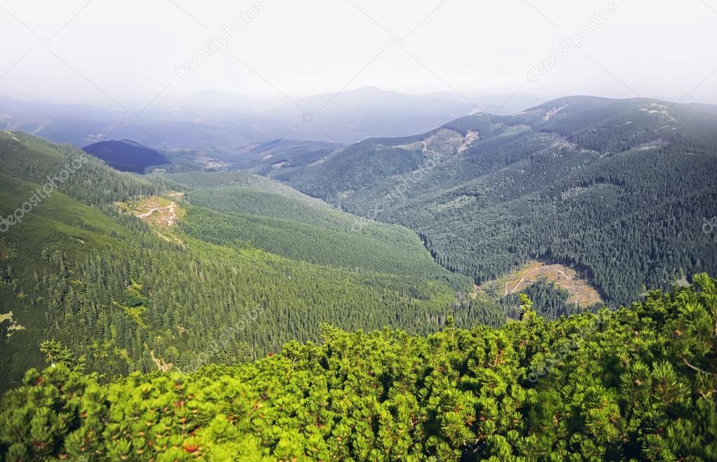 Beautiful view of the mountains , Carpathian , Ukraine
