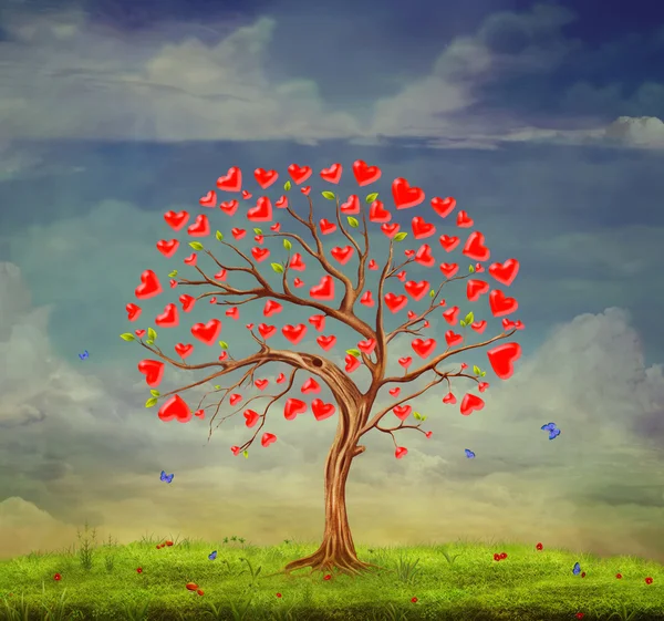 사랑의 나무 — 스톡 사진