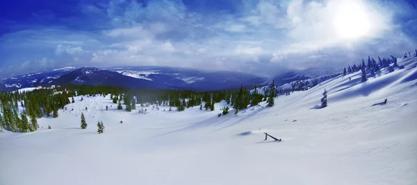 Bevroren bomen op karpaty bergen. — Stockfoto