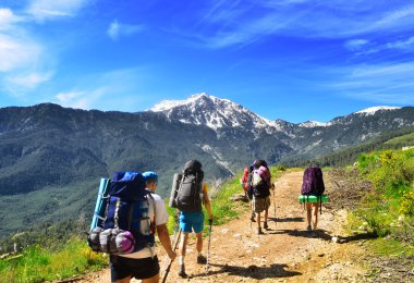 Group of hikers in the mountain clipart