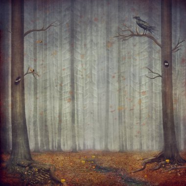 Sonbahar orman. Güzel doğa arka plan