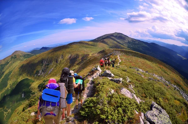 Wandergruppe in den Bergen — Stockfoto